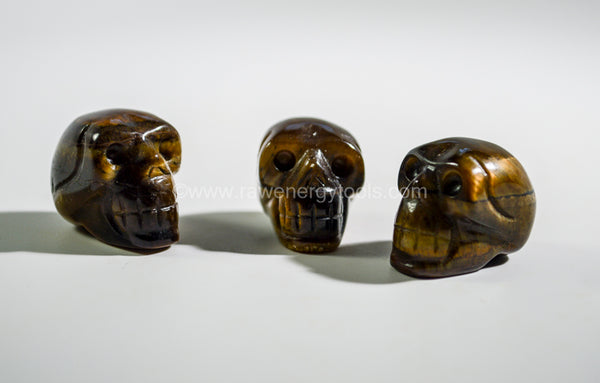 Tiger's eye skull stone carving metaphysical buy mineral tiger eye carved crystal skull carving elongated skull carving alien skull